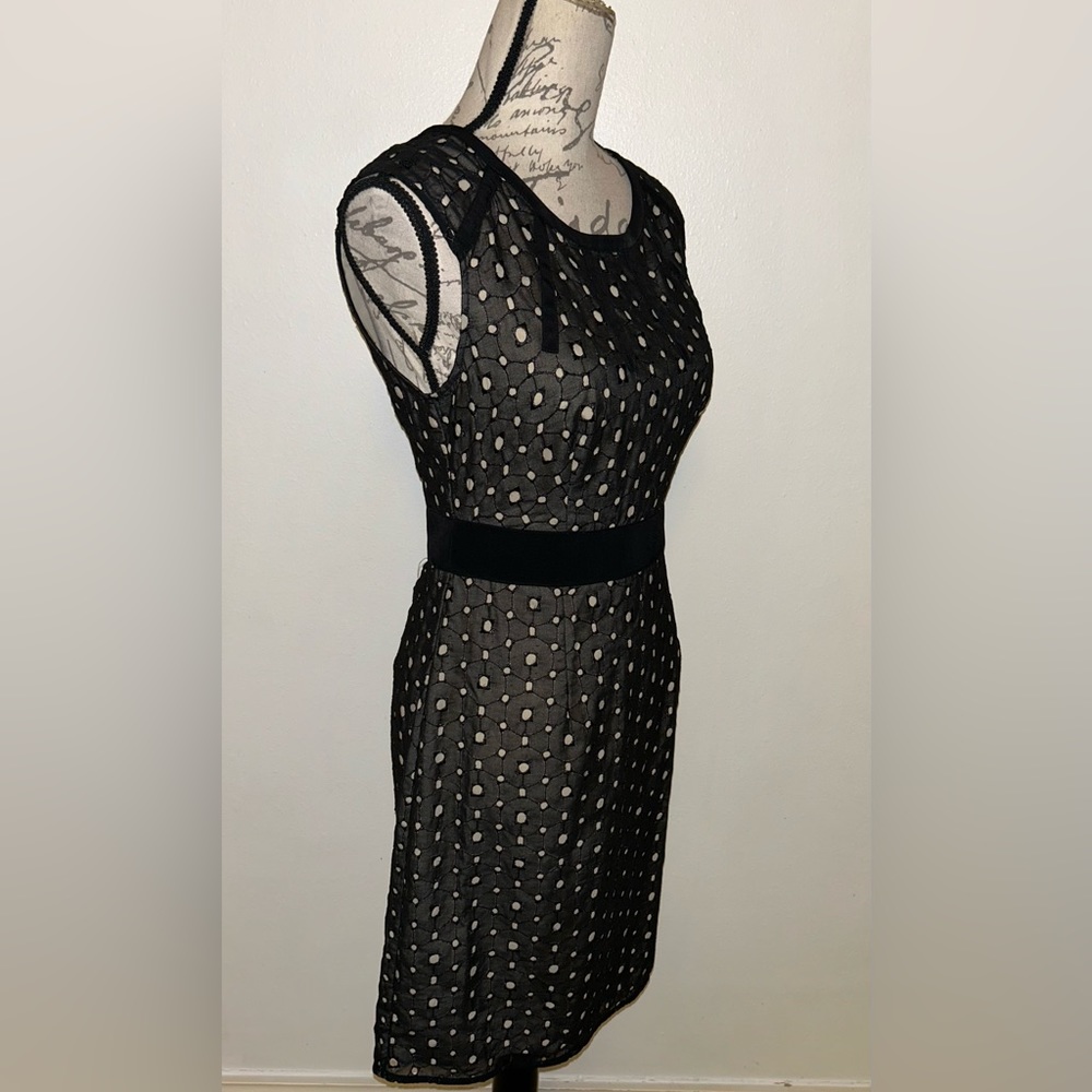 🩶🖤♦️NWT The Limited Lace Accent Dress🖤🩶